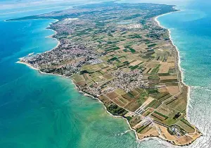 Dératisation île d’Oléron, Royan