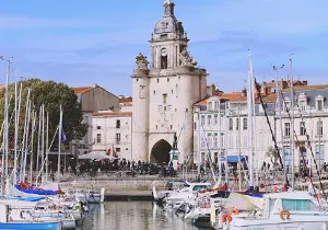 Dératisation la rochelle